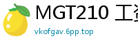 MGT210 工资单激情第3卷伦理三级